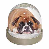 Red and White Boxer Dog Snow Globe Photo Waterball