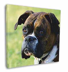 Brindle and White Boxer Dog Square Canvas 12"x12" Wall Art Picture Print