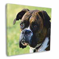 Brindle and White Boxer Dog Square Canvas 12"x12" Wall Art Picture Print