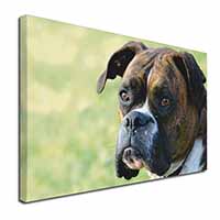 Brindle and White Boxer Dog Canvas X-Large 30"x20" Wall Art Print