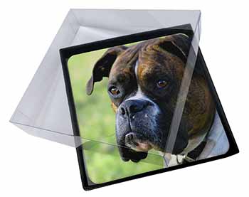 4x Brindle and White Boxer Dog Picture Table Coasters Set in Gift Box