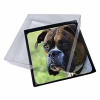4x Brindle and White Boxer Dog Picture Table Coasters Set in Gift Box