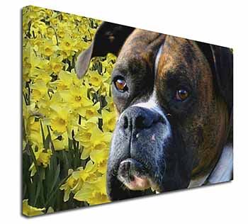 Boxer Dog with Daffodils Canvas X-Large 30"x20" Wall Art Print