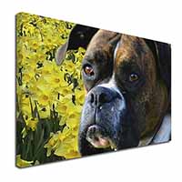 Boxer Dog with Daffodils Canvas X-Large 30"x20" Wall Art Print