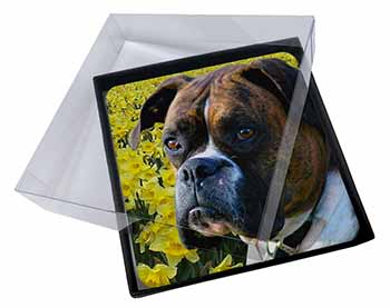 4x Boxer Dog with Daffodils Picture Table Coasters Set in Gift Box