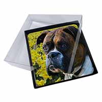4x Boxer Dog with Daffodils Picture Table Coasters Set in Gift Box