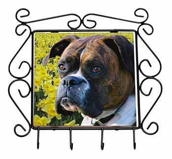 Boxer Dog with Daffodils Wrought Iron Key Holder Hooks