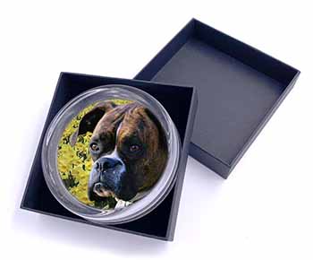 Boxer Dog with Daffodils Glass Paperweight in Gift Box