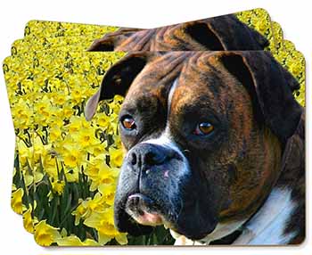 Boxer Dog with Daffodils Picture Placemats in Gift Box