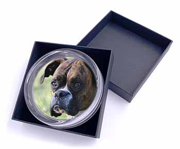 Brindle and White Boxer Dog Glass Paperweight in Gift Box