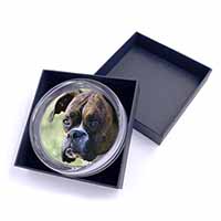 Brindle and White Boxer Dog Glass Paperweight in Gift Box