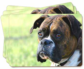 Brindle and White Boxer Dog Picture Placemats in Gift Box