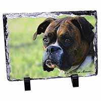 Brindle Boxer 