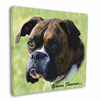 Brindle and White Boxer Dog "Yours Forever..." Square Canvas 12"x12" Wall Art Pi