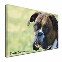 Brindle and White Boxer Dog "Yours Forever..." Canvas X-Large 30"x20" Wall Art P