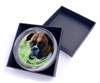 Brindle and White Boxer Dog "Yours Forever..." Glass Paperweight in Gift Box