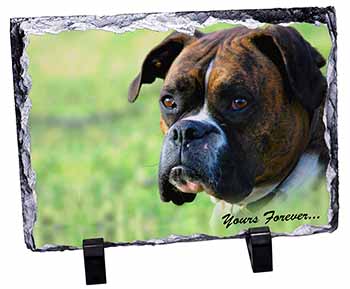 Brindle and White Boxer Dog "Yours Forever...", Stunning Photo Slate