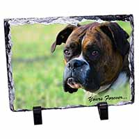 Brindle and White Boxer Dog "Yours Forever...", Stunning Photo Slate
