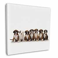 Boxer Dog Puppies Square Canvas 12"x12" Wall Art Picture Print