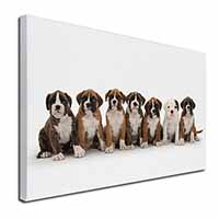 Boxer Dog Puppies Canvas X-Large 30"x20" Wall Art Print