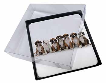 4x Boxer Dog Puppies Picture Table Coasters Set in Gift Box