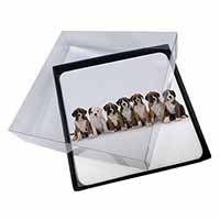 4x Boxer Dog Puppies Picture Table Coasters Set in Gift Box