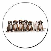 Boxer Dog Puppies Fridge Magnet Printed Full Colour