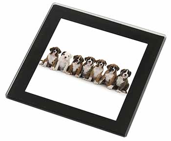 Boxer Dog Puppies Black Rim High Quality Glass Coaster