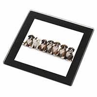 Boxer Dog Puppies Black Rim High Quality Glass Coaster
