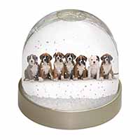 Boxer Dog Puppies Snow Globe Photo Waterball
