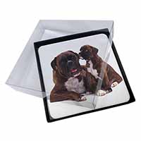 4x Boxer Dog Puppy Picture Table Coasters Set in Gift Box