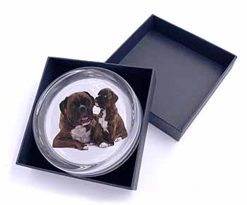 Boxer Dog Puppy Glass Paperweight in Gift Box