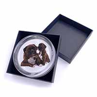 Boxer Dog Puppy Glass Paperweight in Gift Box