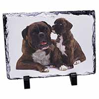 Boxer Dog Puppy, Stunning Photo Slate