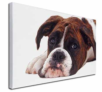 Boxer Dog Canvas X-Large 30"x20" Wall Art Print