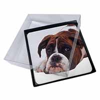 4x Boxer Dog Picture Table Coasters Set in Gift Box