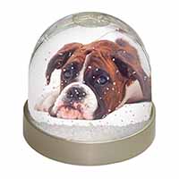 Boxer Dog Snow Globe Photo Waterball