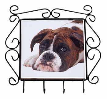 Boxer Dog Wrought Iron Key Holder Hooks