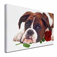 Boxer Dog with Red Rose Canvas X-Large 30"x20" Wall Art Print