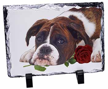 Boxer Dog with Red Rose, Stunning Photo Slate