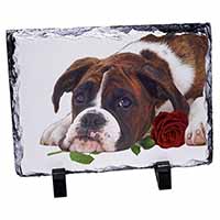 Boxer Dog with Red Rose, Stunning Photo Slate