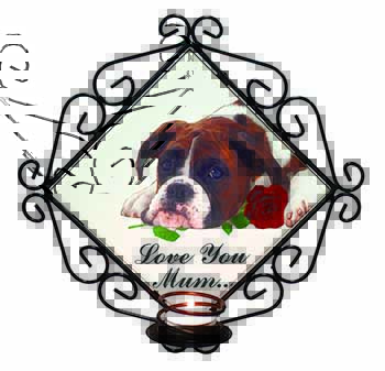 Boxer Dog+Rose 