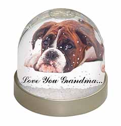 Boxer Dogs Grandma Gift Snow Globe Photo Waterball