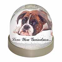 Boxer Dogs Grandma Gift Snow Globe Photo Waterball