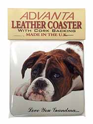 Boxer Dogs Grandma Gift Single Leather Photo Coaster