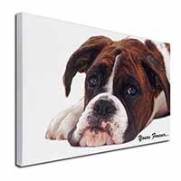 Boxer Dog "Yours Forever..." Canvas X-Large 30"x20" Wall Art Print
