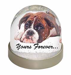 Boxer Dog "Yours Forever..." Snow Globe Photo Waterball