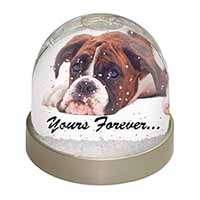 Boxer Dog "Yours Forever..." Snow Globe Photo Waterball