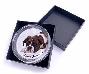 Boxer Dog "Yours Forever..." Glass Paperweight in Gift Box