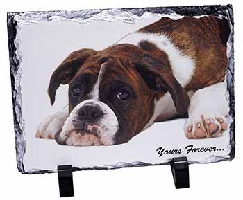 Boxer Dog "Yours Forever...", Stunning Photo Slate